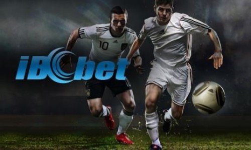 IBCBET Login Terbaru 2026: Solusi Jika Link Utama Tidak Bisa Dibuka